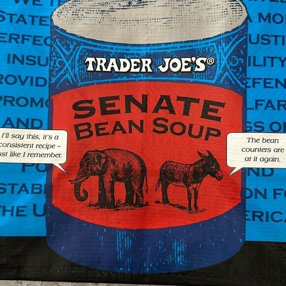 Trader Joe’s Plastic Reusable Shopping Tote Bag 6 Gallon Washington DC - Picture 11 of 14